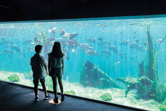 Sydney Zoo General Entry Admission Ticket - Food breaks and family comfort: what makes it work with kids