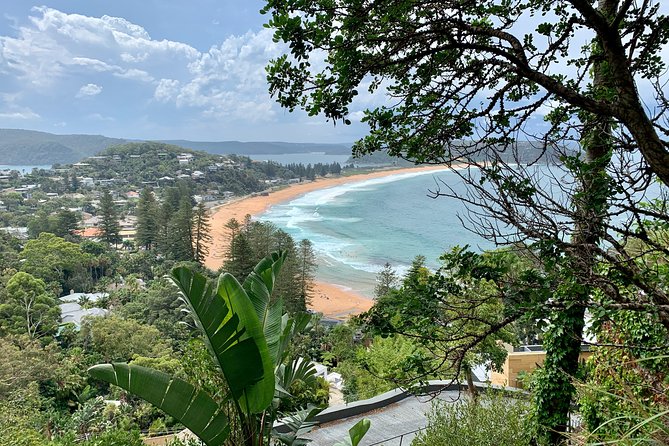 Sydney's Northern Beaches & Ku-ring-gai National Park Small Tour departing Manly - Back to Manly Beach and the Harbour Foreshore Stroll