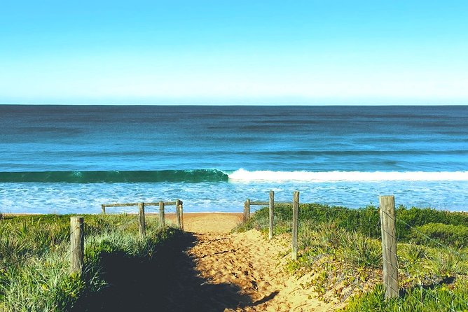 Sydney's Northern Beaches & Ku-ring-gai National Park Small Tour departing Manly - Price and Value: Is $304.83 a Fair Deal?
