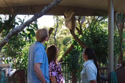 Taronga Zoo Sydney Wild Australia Experience - Starting at Taronga: meeting point, timing, and what to bring