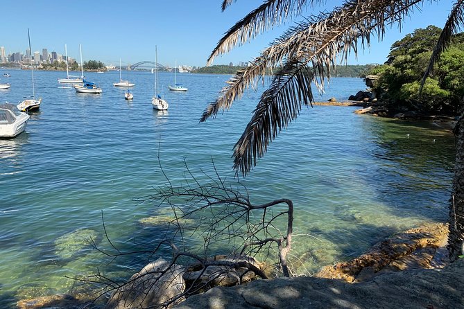The Top Ten Hidden Harbour Beaches Tour with Jen - Practical tips for a smooth harbor morning