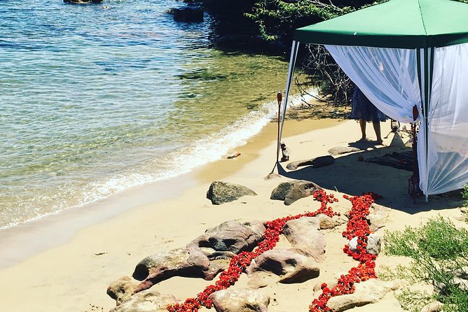 The Top Ten Hidden Harbour Beaches Tour with Jen - Sydney Harbour landmarks: the big-name views that anchor the day