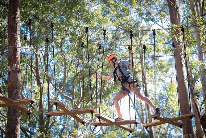 Treetops Adventure The Hills - Tree Ropes Course - Choosing Your Course: Nine Options and Real Difficulty Levels