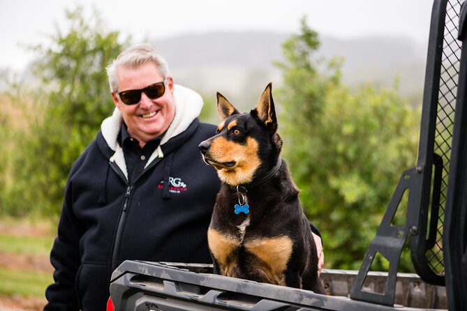 Truffle Hunt and Taste Experience in Oberon, NSW Australia - Back at the lodge: savory truffle tastings built around pairing logic