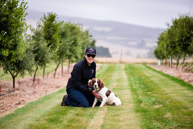 Truffle Hunt and Taste Experience in Oberon, NSW Australia - Before the hunt: truffle tasting, the growth story, and the lodge setup