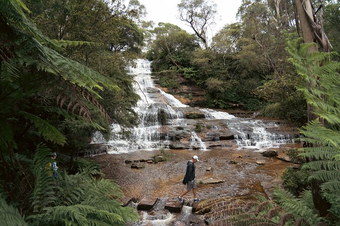 Ultimate All Inclusive Blue Mountains with Scenic World Tour - Waterfalls around Katoomba: Katoomba Cascades and Wentworth Falls