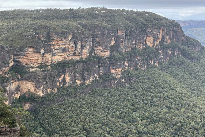 Ultimate All Inclusive Blue Mountains with Scenic World Tour - Sydney Zoo: kangaroos, koalas, and heat-proof planning