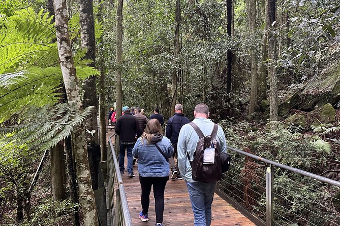 Ultimate All Inclusive Blue Mountains with Scenic World Tour - Sydney Harbour ferry back to Circular Quay: the calm closer