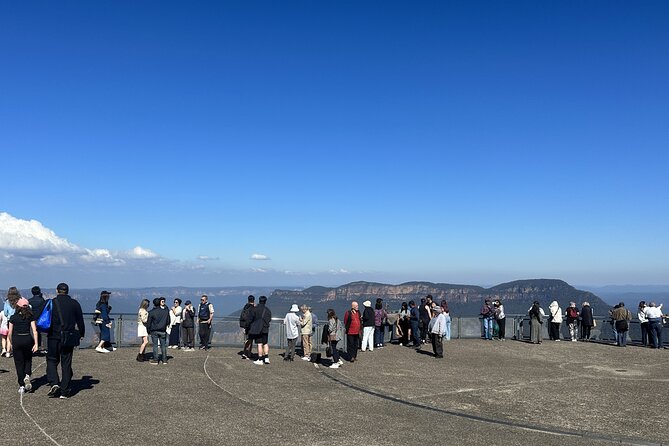 Ultimate All Inclusive Blue Mountains with Scenic World Tour - Scenic World: three rides, one rainforest walk, and the best use of your time