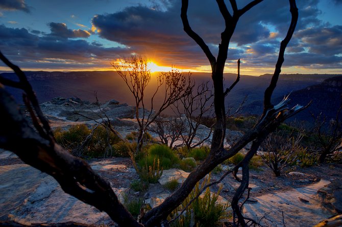 Ultimate Blue Mountains and Wildlife Tour - Key highlights