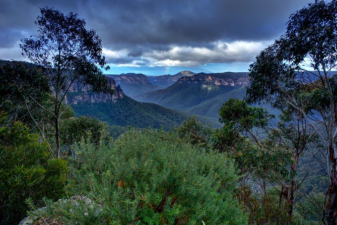 Ultimate Blue Mountains and Wildlife Tour - Why This Small-Group Blue Mountains Day Feels Off-the-Grid