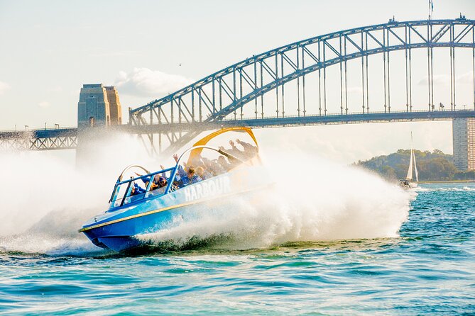 Ultimate Blue Mountains and Wildlife Tour - Price and Value: Does $413 Make Sense?