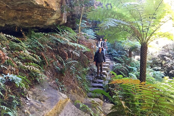 Ultimate Blue Mountains Private Tour with Scenic World and Wildlife Park - Katoomba Falls: Short Bushwalk, Big Payoff
