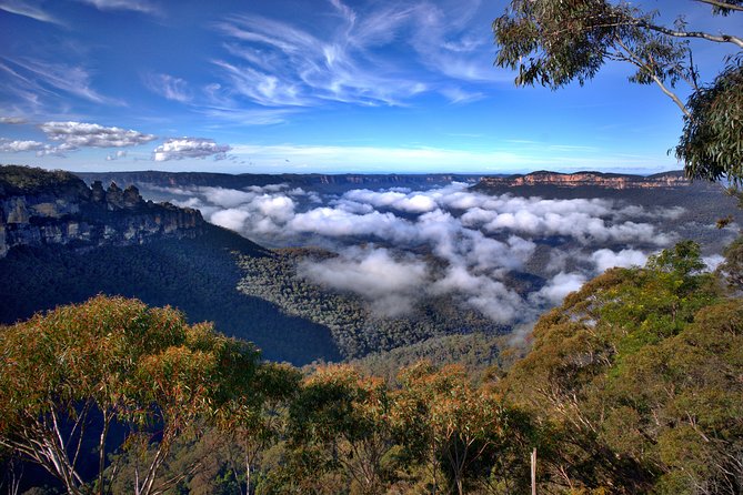 Unforgettable Blue Mountains Day Tour - Key things that make this Blue Mountains tour worth your time