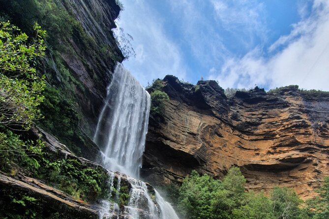 Unforgettable Blue Mountains Day Tour - Afternoon tea and the payoff of routes planned around crowds