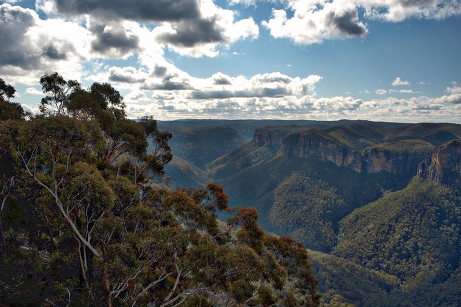 Unforgettable Blue Mountains Day Tour - Who this tour is best for (and who might want a different plan)