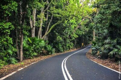 Waves Waterfalls and Wineries Full-Day Southern Highlands Private Tour - Fitzroy Falls Clifftops: Short Walk, Wildlife Chances, Big-View Payoff