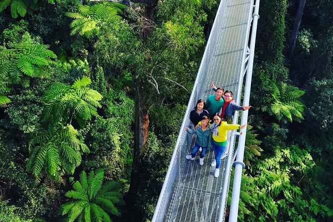 Waves Waterfalls and Wineries Full-Day Southern Highlands Private Tour - Price and What You’re Really Paying For (Not Just the Sticker)
