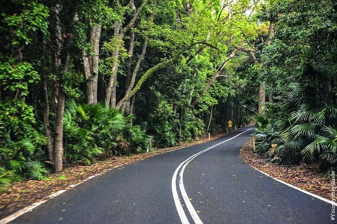 Waves Waterfalls and Wineries Full-Day Southern Highlands Private Tour - Fitzroy Falls Clifftops: Short Walk, Wildlife Chances, Big-View Payoff
