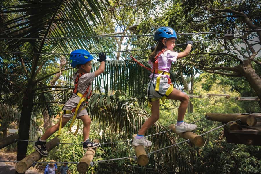 Western Sydney: Junior Tree Ropes Courses - Key Takeaways Before You Go