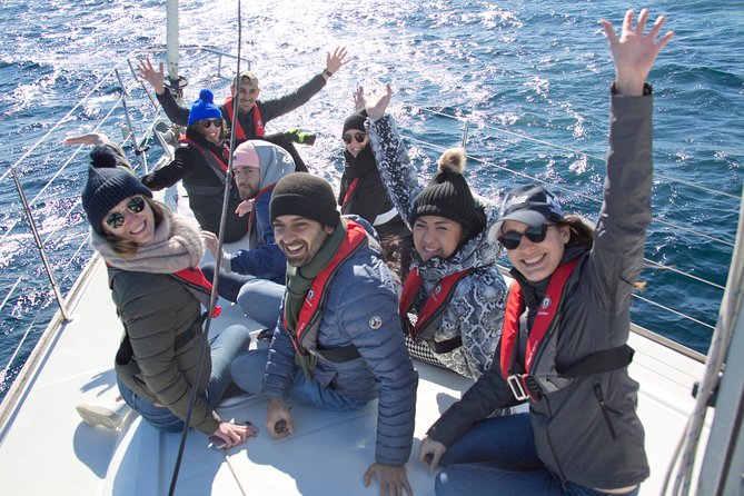 Whale Watching Sailing Experience in Sydney - What you’re really paying for: the sailing approach