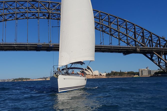 Whale Watching Sailing Experience in Sydney - Small-group sailing: why 12 people feels worlds better