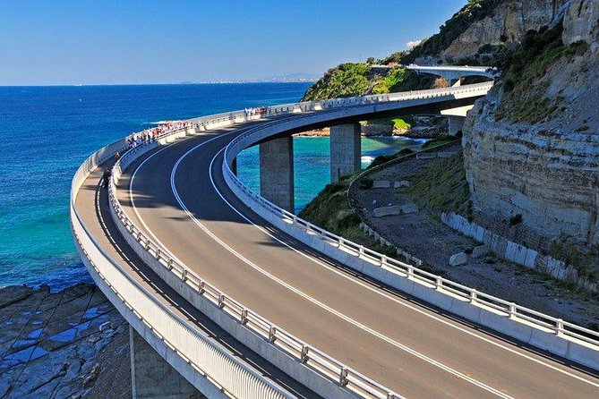 Wildlife, Wine & Waves – Epic South Coast Adventure from Sydney - Key things to know before you go