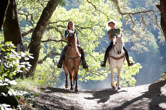 Wine Tours Sydney - Southern Highlands Day Escape, Full Day Wine Tasting Tour - Small Details That Make or Break Your Wine Day